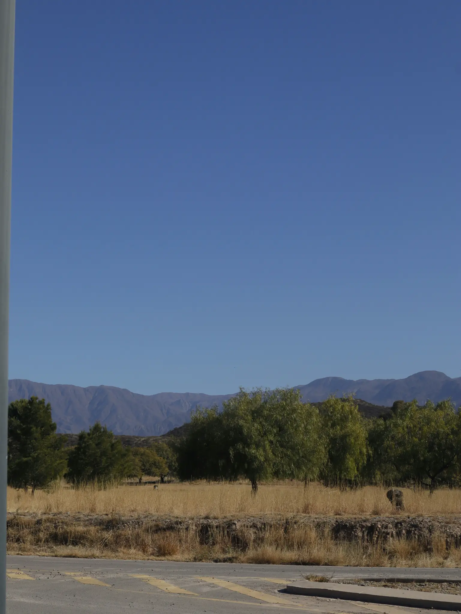 Paisagem de Mendoza com montanhas ao fundo